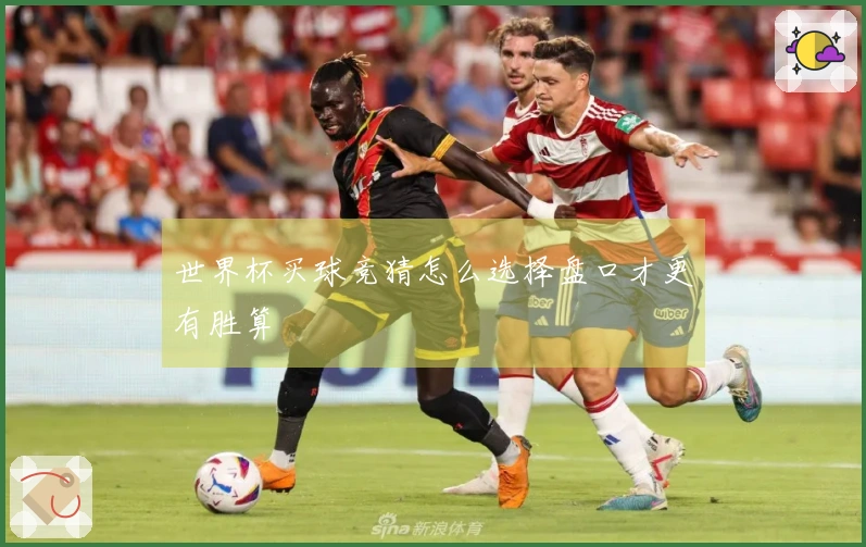 世界杯买球竞猜怎么选择盘口才更有胜算