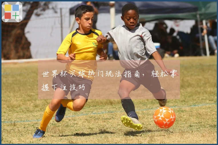 世界杯买球热门玩法指南，轻松掌握下注技巧