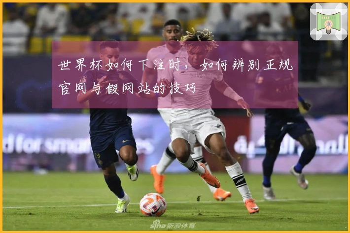 世界杯如何下注时，如何辨别正规官网与假网站的技巧