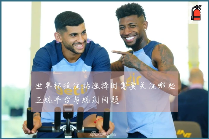 世界杯投注站选择时需要关注哪些正规平台与规则问题