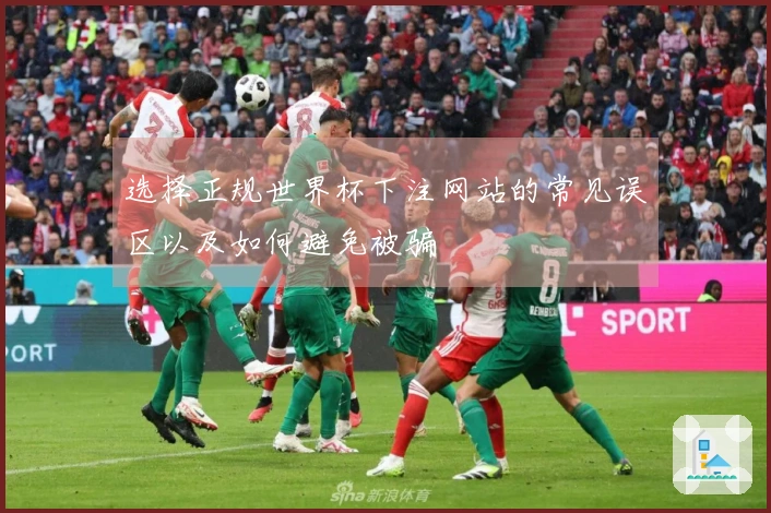 选择正规世界杯下注网站的常见误区以及如何避免被骗